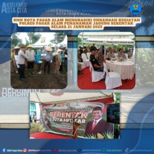 Penanaman Jagung Serentak dàlam rangka ketahanan Pangan